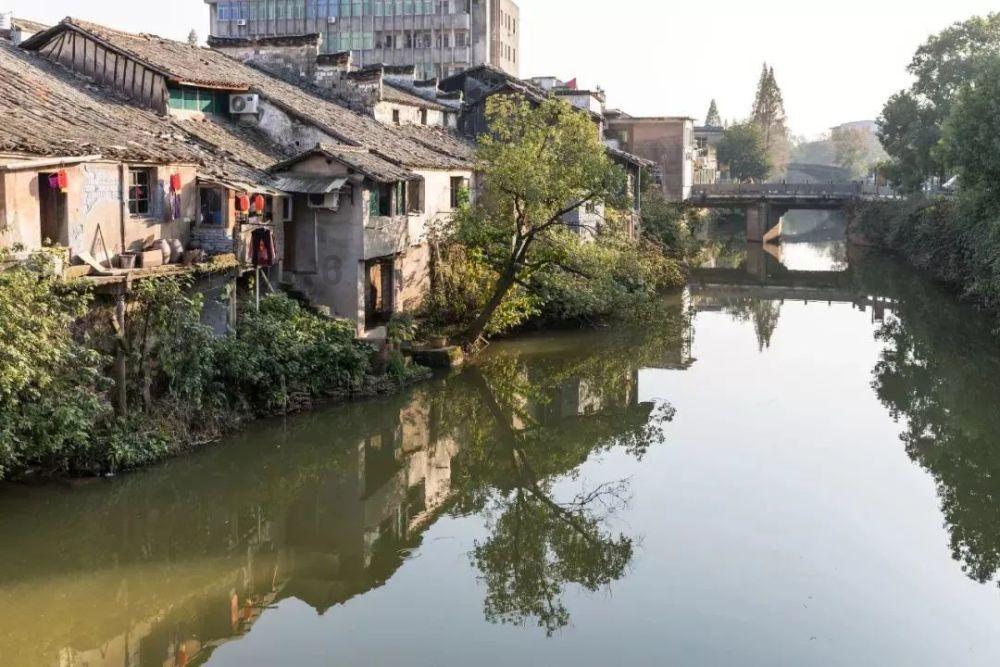 植物大战僵尸7